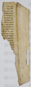 Pergamene ebraiche ACAMO 2-63, s.s - 11.2a