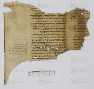 Pergamene ebraiche ACAMO 2-63, s.s - 13.3a