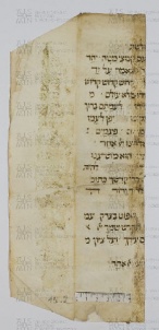 Pergamene ebraiche ACAMO 2-63, s.s - 15.2a