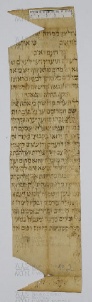 Pergamene ebraiche ACAMO 2-63, s.s - 19.2a