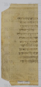 Pergamene ebraiche ACAMO 2-63, s.s - 25.2a