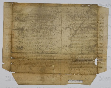 Pergamene ebraiche ACAMO 2-63, s.s - 26.2a