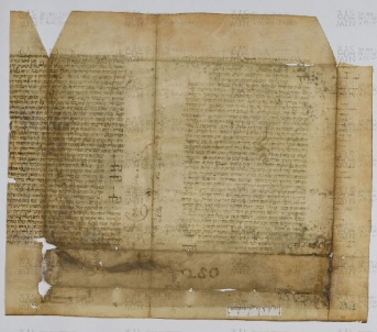 Pergamene ebraiche ACAMO 2-63, s.s - 27.1a