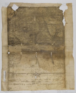 Pergamene ebraiche ACAMO 2-63, s.s - 38.1b