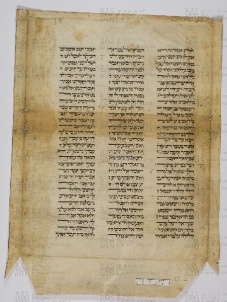 Pergamene ebraiche ACAMO 2-63, s.s - 53.1a