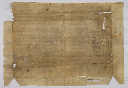 Pergamene ebraiche ACAMO 2-63, s.s - 55.1b