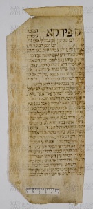 Pergamene ebraiche ACAMO 2-63, s.s - 9.2a