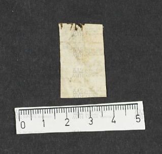 Pergamene ebraiche ACMO 1-103, App. 1-3 - pag. 10.5b