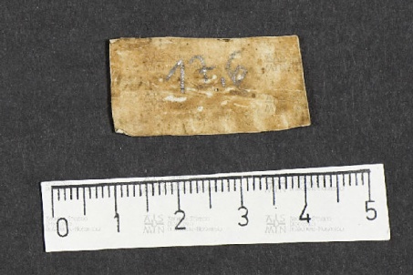 Pergamene ebraiche ACMO 1-103, App. 1-3 - pag. 17.6b