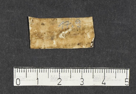 Pergamene ebraiche ACMO 1-103, App. 1-3 - pag. 17.9b