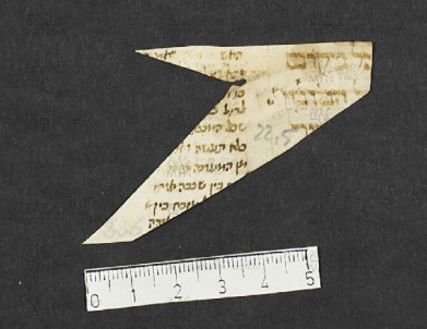 Pergamene ebraiche ACMO 1-103, App. 1-3 - pag. 22.5a