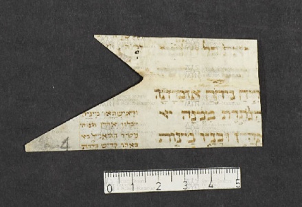 Pergamene ebraiche ACMO 1-103, App. 1-3 - pag. 24.1a
