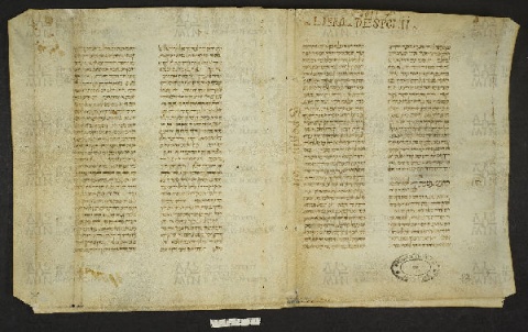 Pergamene ebraiche ACMO 1-103, App. 1-3 - pag. 27a