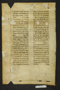 Pergamene ebraiche ACMO 1-103, App. 1-3 - pag. 40.1a