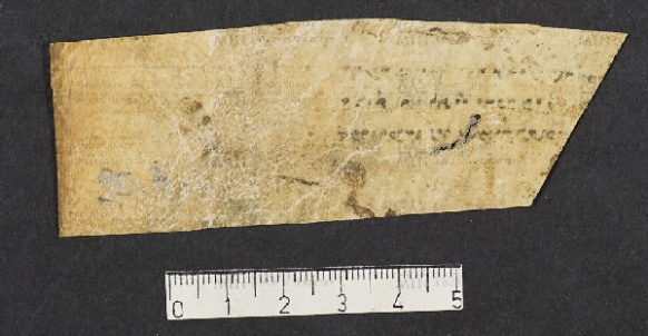 Pergamene ebraiche ACMO 1-103, App. 1-3 - pag. 95.3b