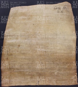 3 A.10.IIIv, Investitura fatta da Gotefredo vescovo a favore dei fratelli Rimaldo e Gianserano, Cittanova, 904