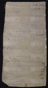 30 B.2.XXXv, Investitura fatta da Ildeprando vescovo a favore di Martino e di Lupo da Isola, Modena, 991, mag.