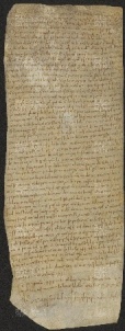 78 B.20.LXXVIIIr, Investitura fatta da Ingone vescovo a Casale, Modena, 1033, ott.