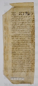 Pergamene ebraiche ACAMO 2-63, s.s - 9.2a