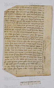Pergamene ebraiche ACAMO 2-63, s.s - 62.2a