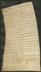 154 E.2.CXXXVIIIr, Donazione fatta da Bonizo di Legge Longobarda della quarta parte dei suoi beni, a favore della moglie Amorosa, Reggio, 1150, nov.