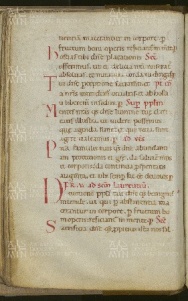 033v