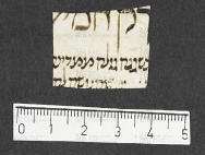 Pergamene ebraiche ACMO 1-103, App. 1-3 - pag. 17.7a