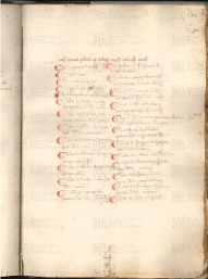 ACMo O.V.32 - pag. 100r