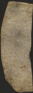 181 C.20.CLXXXIr, Investitura fatta da Eriberto vescovo a favore di Guido da Bazovara, Savignano, 1066, ott. 24