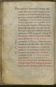 064v