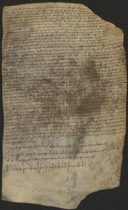 98 C.3.XCVIIIr, Investitura fatta da Ingone vescovo a Albezone da Fregnano, Modena, 1036, ott. 10