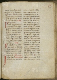 O.II.13 Missale vetus ad usum templariorum 128r