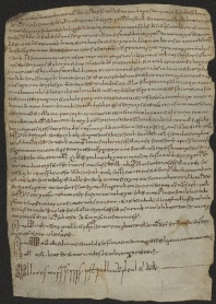 130 C.9.CXXXr, Donazione fatta da Rinaldo, Pietro e altri a favore di Wiberto vescovo, Modena, 1045, dic.