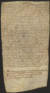 136 C.11.CXXXVIr, Investitura fatta da Wiberto vescovo a Martino, Andrea, Pietro, fratelli, e ad alcuni altri, Modena, 1048, lug. 5
