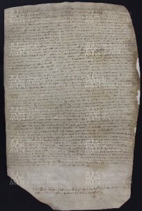55 B.15.LVr, Investitura fatta da Ingone vescovo a favore di Guido Bono da Vignola, Vignola, 1029, ago. 10