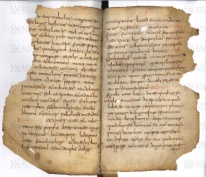 ACMo O.I.11 - pag. 6