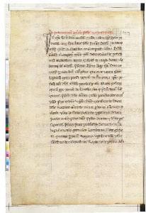 ACMo O.II.11 - pag. 223v