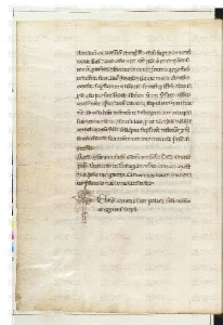 ACMo O.II.11 - pag. 224v
