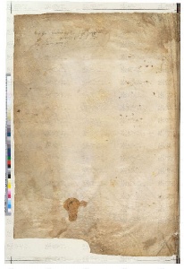 ACMo O.II.11 - pag. 299v