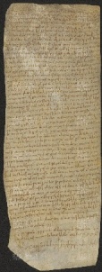 78 B.20.LXXVIIIr, Investitura fatta da Ingone vescovo a Casale, Modena, 1033, ott.