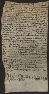 174 C.18.CLXXIVr, Donazione fatta da Rainero a favore di Eriberto vescovo, Savignano, 1062, giu.