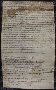 7 A.11.VIIr, Collazione della Chiesa di Santa Maria in Rubiano fatta da Gotefredo vescovo a Sileberto arciprete, Modena, 908, mag. 27