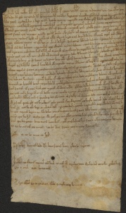 34 D.6.XXXr, Rinnovazione d'investitura fatta da Dodone vescovo a favore dei Fratelli Sigezio e Linaldo, di Contardo, di Pietro, e dei fratelli Aginulfo e Alfredo, Modena, 1114, feb. 23