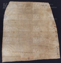 19 B.8.XIXv, Donazione fatta da Rinardo e da Roza a favore di Varino vescovo, Pavia, 1018, ago. 28