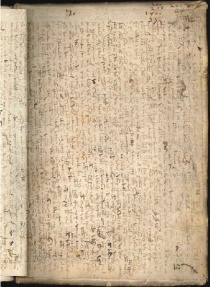 ACMo O.V.32 - pag. contropiatto posteriore