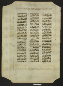 Pergamene ebraiche ACMO 1-103, App. 1-3 - pag. 73a