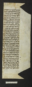 Pergamene ebraiche ACMO 1-103, App. 1-3 - pag. 88.2a