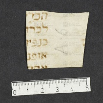 Pergamene ebraiche ACMO 1-103, App. 1-3 - pag. 101.6a