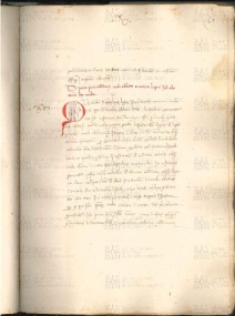 ACMo O.V.32 - pag. 060r