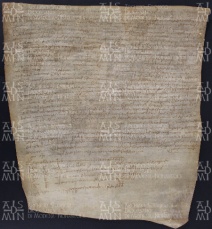 3 A.10.IIIr, Investitura fatta da Gotefredo vescovo a favore dei fratelli Rimaldo e Gianserano, Cittanova, 904,